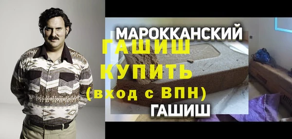 индика Краснослободск