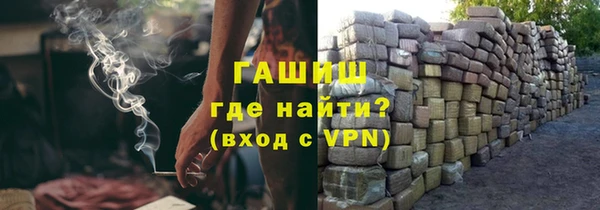 индика Краснослободск