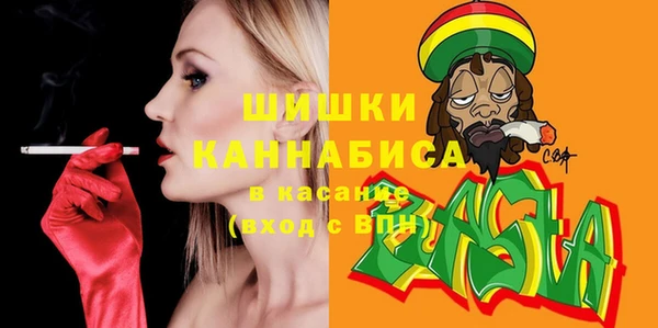индика Краснослободск