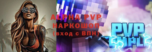 индика Краснослободск