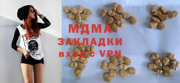 индика Краснослободск
