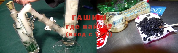 индика Краснослободск