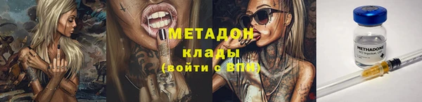 индика Краснослободск