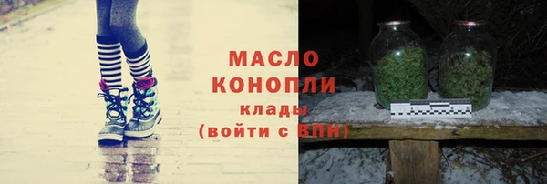 индика Краснослободск