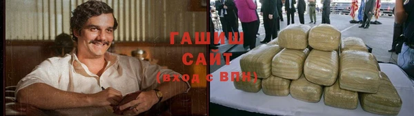 индика Краснослободск