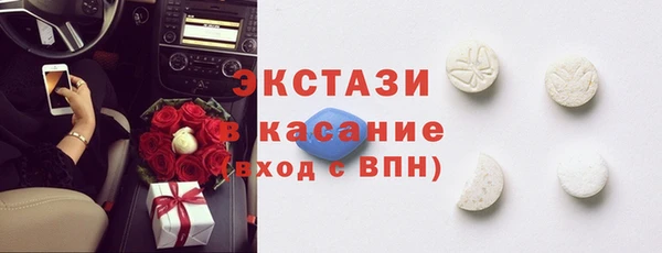 индика Краснослободск