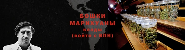 индика Краснослободск