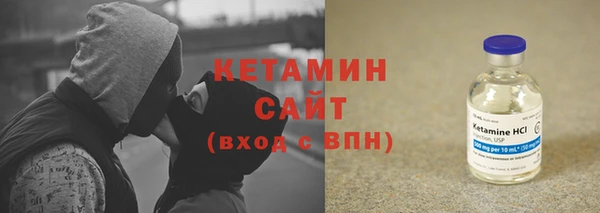 индика Краснослободск