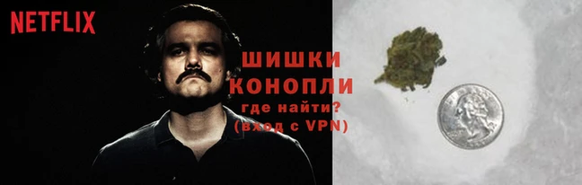 индика Краснослободск