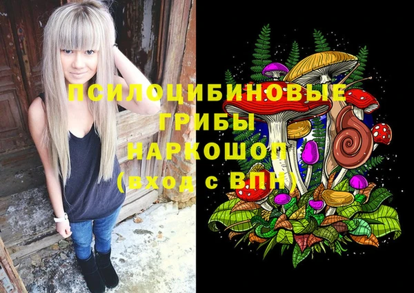 индика Краснослободск