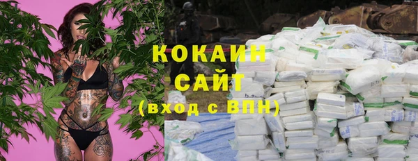 индика Краснослободск