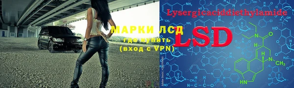 индика Краснослободск