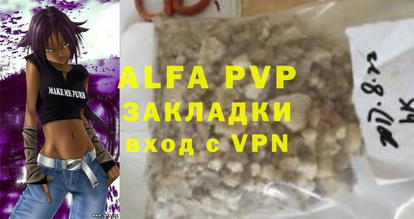 индика Краснослободск